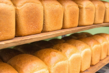 Фотография к новости: Ақмола облысында нан бағасын реттеу үшін келіссөздер жүргізілуде