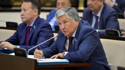 Сенатор Әділбеков ШОБ мемлекеттік қолдаудың бірыңғай ақпараттық порталын құруды ұсынды