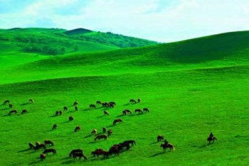 Фотография к новости: ШҚО-да игерілмей жатқан жайылымдар мемлекеттік меншікке қайтарылуда