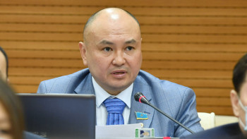 Фотография к новости: Сайыров министрлерді депутаттармен бірге өңірлерді аралауға шақырды