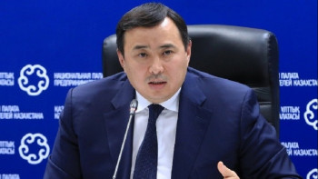 Фотография к новости: Ұлттық палата «Бизнеске арналған үкімет» бірыңғай сервисін әзірлеп шықты – Мырзахметов