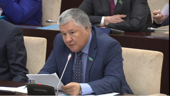 Фотография к новости: Сенатор ел бюджетінің кірісін қалай арттыруға болатынын айтты