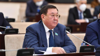 Фотография к новости: Сенатор: Президенттің шешімдері елдегі қауіпсіздікті сақтап қалды