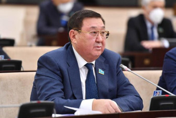 Фотография к новости: Сенатор: Президенттің шешімдері елдегі қауіпсіздікті сақтап қалды