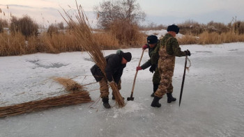 Фотография к новости: Қызылорда: Балық шабақтары оттегі жетіспеушілігінен қырылуы мүмкін