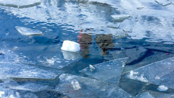 Фотография к новости: Темір жолдар су тасқыны кезеңіне дайындалып жатыр – министр
