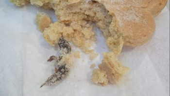 Фотография к новости: СЭС: Тышқан шыққан тоқашты сатқандарға тексеріс жүргізе алмай отырмыз