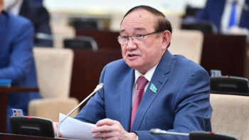 Фотография к новости: Келісі 150 теңгелік алмалар делдалдар арқылы 500 теңгеден сатылып жатыр - депутат