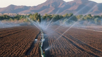 Фотография к новости: Алматы облысында 114 мың га суармалы жер қалпына келтіріледі