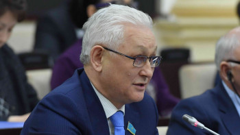 Фотография к новости: Сенатор: Арнайы экономикалық аймақтар аумағының 60%-ы бос қалып отыр