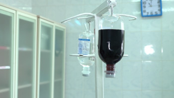 Фотография к новости: Павлодарлық гематологтар үздік нәтижелерге қол жеткізді