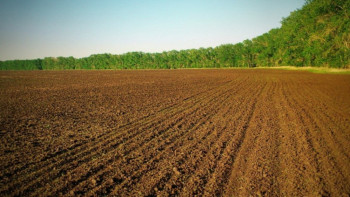 Фотография к новости: Пайдаланылмайтын ауыл шаруашылығы жерлерін мәжбүрлеп алып қою мерзімі 1 жылға дейін қысқартылды