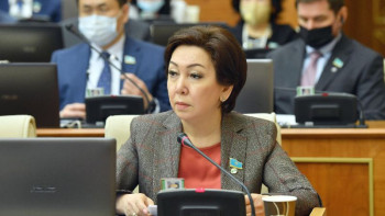 Фотография к новости: Депутаттар балалар дәрігерлері мәселесін көтерді