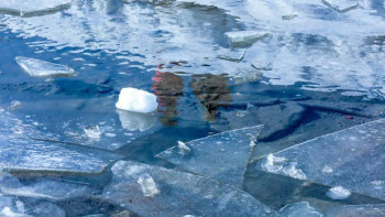 Фотография к новости: Павлодар облысында су тасқынын алдын алу айлығы басталды