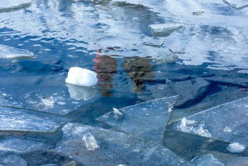 Павлодар облысында су тасқынын алдын алу айлығы басталды