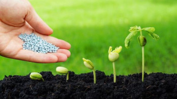 Фотография к новости: Биыл пестицидтерді субсидиялау бағдарламасына 29,7 млрд теңге көзделген – Сапаров