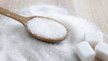 Фотография к новости: Қарашөкеев қант бағасының не себепті қымбаттап кеткенін айтты