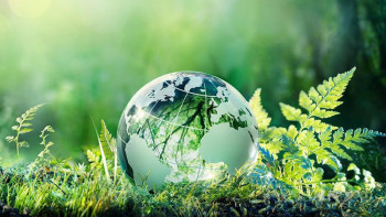 Фотография к новости: «Жасыл Қазақстан» ұлттық жобасы. Қандай шаралар атқарылып жатыр?