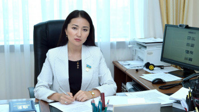 Президент «Жаңа Қазақстанда» әділетті қоғам құрудың негізгі тетіктерін көрсетіп берді – Мақпал Мыса