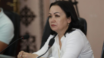 Фотография к новости: Әдемау Толысбаева: Азаматтық ұстаным, Конституциялық сот – Жаңа Қазақстан көріністері