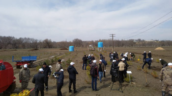 Фотография к новости: Халықаралық орман күніне орай Алматыда ағаш отырғызу маусымы басталды