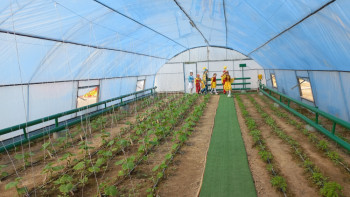 Фотография к новости: Қызылордада отбасы үлгісіндегі балалар ауылында жылыжай ашылды