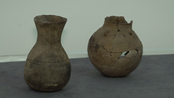 Фотография к новости: Павлодарлық оқушылар археологиялық қазба жұмыстарына аттанады