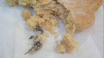 Фотография к новости: Тоқаштан шыққан тышқан дауы. Өнімді өндірген цехқа айыппұл салынды