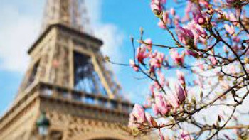 Фотография к новости: Қазақстанда «Франкофония көктемі-2022» мәдени маусымы өтеді