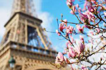 Фотография к новости: Қазақстанда «Франкофония көктемі-2022» мәдени маусымы өтеді