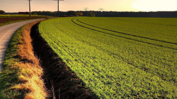 Фотография к новости: «Үлкен дауға айналу қаупі бар». Депутат егістік жерлерді бөлуге қатысты мәселені көтерді