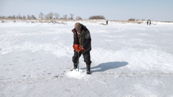 Фотография к новости: Павлодар облысында балықтарды құтқару кезеңі аяқталуда