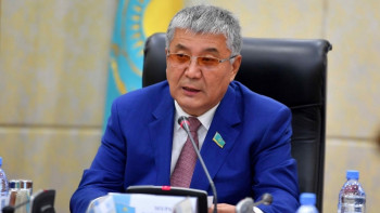 Фотография к новости: Сенатор шаруаларды қолдау үшін ауыл шаруашылығы банкін құруды ұсынды