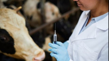 Фотография к новости: Ветеринарлық мамандықтар бойынша ауылдық квотаны 70%-ға дейін ұлғайту ұсынылды