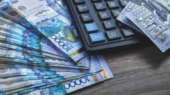 Фотография к новости: Бюджеттен бөлінген шығыстар қайда жұмсалады? – Министр жауап берді