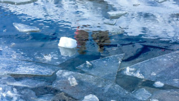 Фотография к новости: Көктемгі су тасқыны: Ақмола облысындағы ахуал қатаң бақылауда