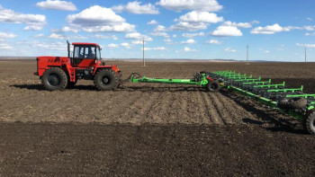 Фотография к новости: Қарашөкеев: Биыл егіс алқабы 105 гектарға артты