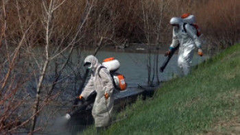 Фотография к новости: Павлодар облысында шыбын-шіркеймен күреске 70 мың келі препарат әкелінді