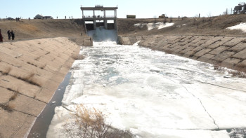 Фотография к новости: Павлодарда табиғатты қорғау мақсатында су босату жұмыстары басталды