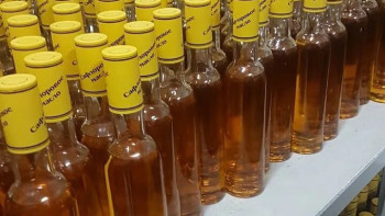 Фотография к новости: Қызылорда облысында мақсары майы өндіріледі