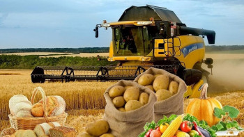 Фотография к новости: 3 айда ауыл шаруашылығы өнімінің көлемі 1,8%-ға артты – АШМ