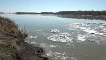 Фотография к новости: Павлодарда «Таза су айдындары» акциясы басталды