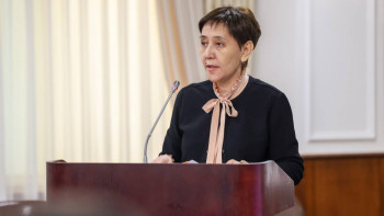 Фотография к новости: 2030 жылға қарай жұмыс күші қатарында жастардың саны күрт өседі – Тамара Дүйсенова