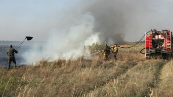 Фотография к новости: Бір адам қаза тауып, 668 гектар жер өртенген. Құрғақ шөптің жануы неге әкеледі?