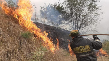 Фотография к новости: Алматыда қай аудандарда құрғақ шөп жиі өртенетіні айтылды