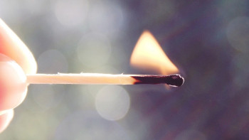 Фотография к новости: Ертіс пен Семей орманында өртті ерте анықтайтын жүйе енгізіледі