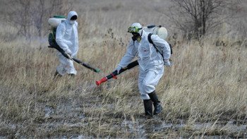Фотография к новости: Ертіс өңірінде шыбын-шіркеймен күрес жұмыстары жалғасып жатыр
