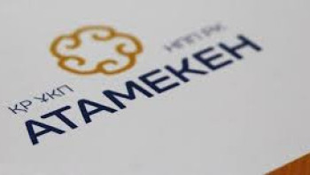 Фотография к новости: Былтыр бизнестен «Атамекенге» 4 мыңнан астам өтініш түскен – Ашитов