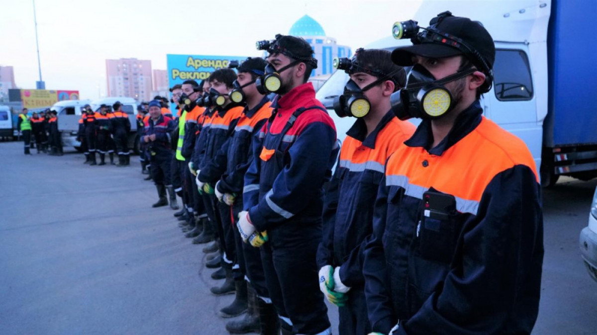 Астанада шыбын-шіркейге қарсы дезинсекция жұмыстары жүріп жатыр