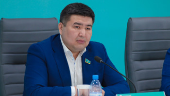 Фотография к новости: Шымкент қаласының Балалар жылына арналған жоспарын әлі күнге дейін көрген жоқпыз – депутат